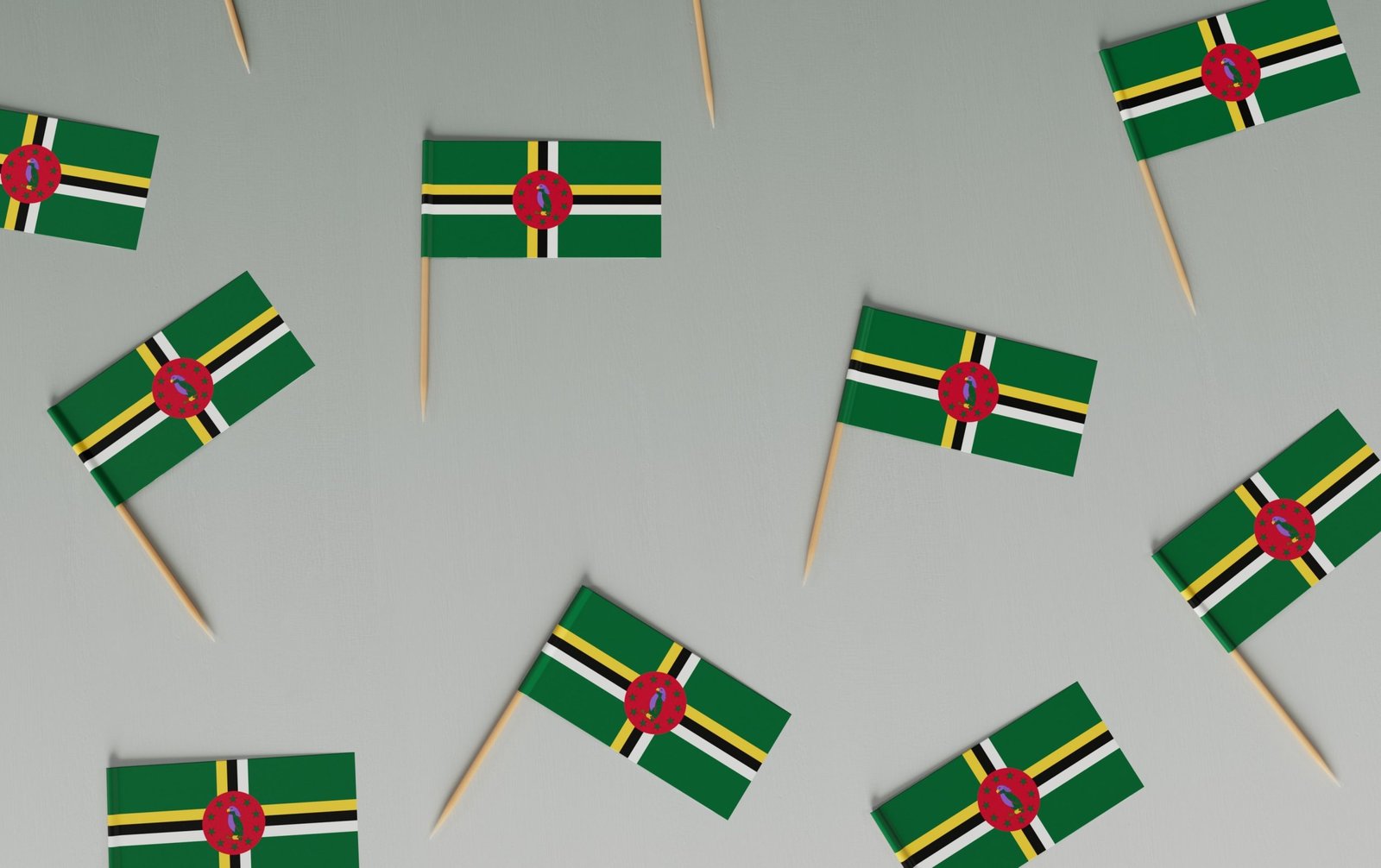Unlock the World with a Second Citizenship from Dominica: Visa-Free Travel to Europe and Beyond planet volumes plg j4zgjdq unsplash